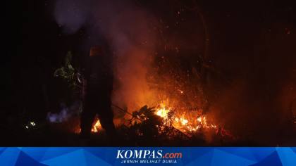 BNPB Laporkan Ada 2.610 Sebaran Titik Panas Karhutla di Kalbar dan 1.438 di Sumsel