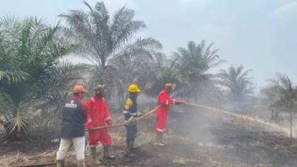 Bibit Awan Tipis, Modifikasi Cuaca di Kalbar Gagal Hasilkan Hujan
