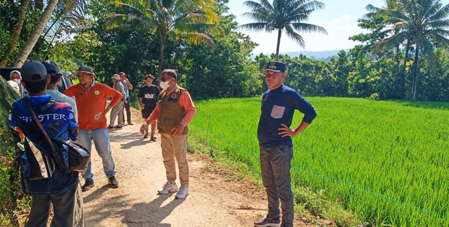 BPBD dan Distan Ketapang Baubau Tinjau Sawah Kering di Bungi