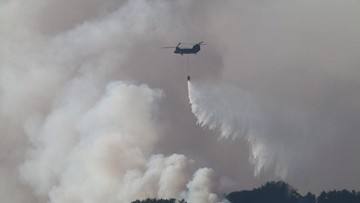 Operasi Helikopter Water Bombing di Palangka Raya Terkendala Kabut Asap