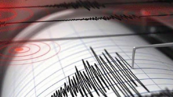 Gempa Susulan NTT Hampir 10.000 Kali, Ahli Ungkap Penyebabnya