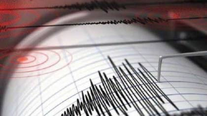 Gempa Susulan NTT Hampir 10.000 Kali, Ahli Ungkap Penyebabnya