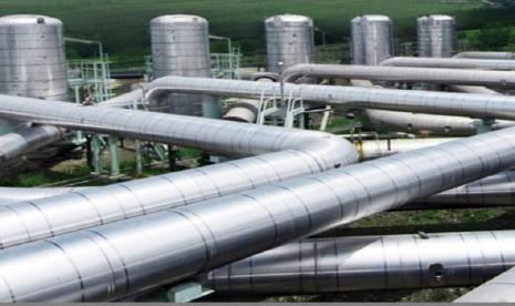 Bisnis Petrokimia Dongkrak Pendapatan Barito Pacific