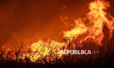 BNPB: Jarak Pandang di Kalimantan Hanya 1 Hingga 1,5 Km
