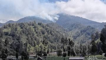 Gunung Semeru Ditutup Total Imbas Karhutla, Ribuan Pendaki Gagal Mendaki