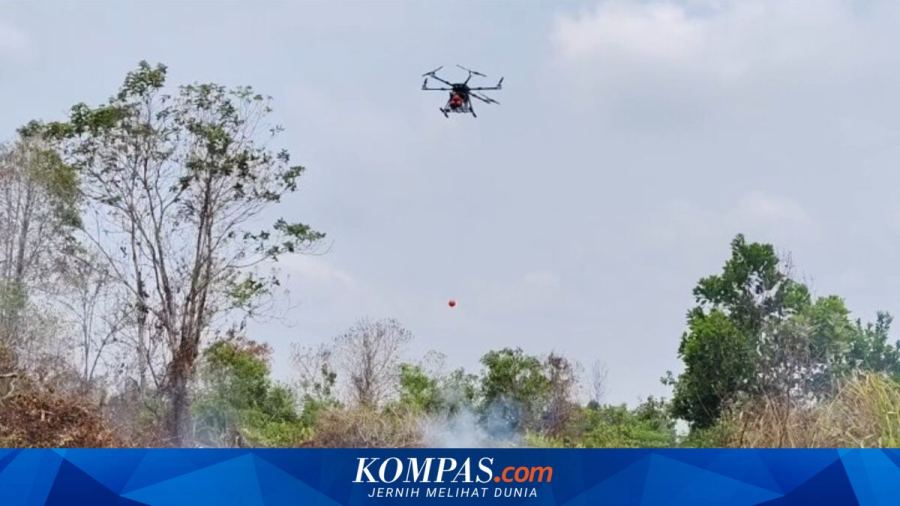 BNPB Kerahkan 53 Armada Udara untuk Tangani Karhutla di 6 Provinsi Prioritas