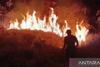 325 hektare lahan di Jabar terbakar, 215 ribu KK terdampak kekeringan