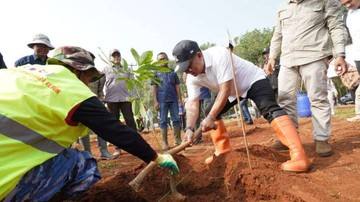 Pemprov Jabar Revitalisasi Kebun Karet Jalupang, 4.200 Pohon Telah Ditanam