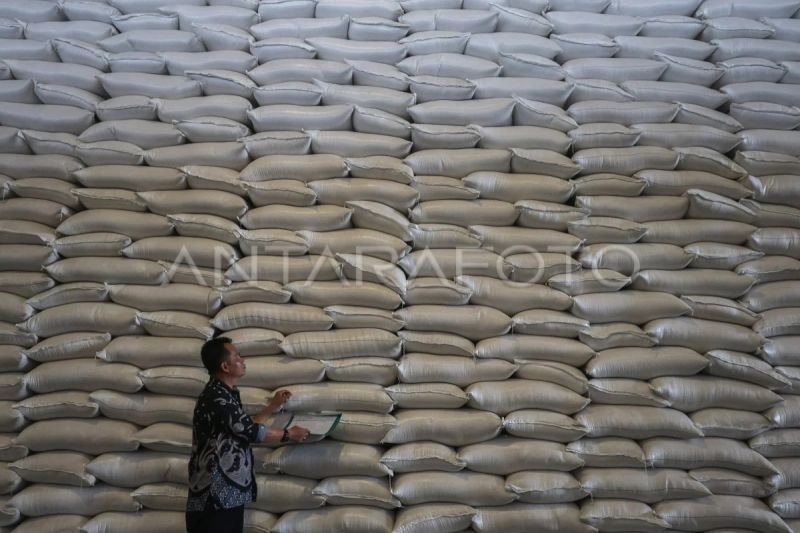 Serapan Bulog dinilai kunci jaga harga gabah saat beras surplus