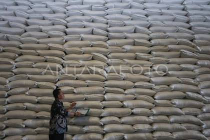 Serapan Bulog dinilai kunci jaga harga gabah saat beras surplus