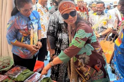 Wamenpar minta promosi FDS di Papua digencarkan hingga ke Bali