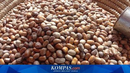 Kuasai Separuh Pasar Dunia, Indonesia Genjot Mutu Pala