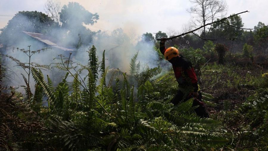 Muhammadiyah soal Karhutla Kalbar: Bukan Alam, Tapi Bencana Ekologis