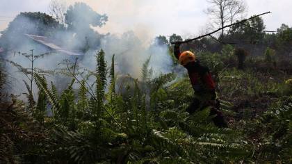 Muhammadiyah soal Karhutla Kalbar: Bukan Alam, Tapi Bencana Ekologis