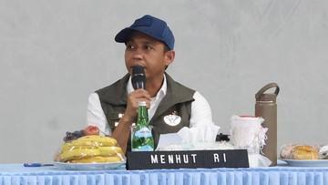 Menhut Ungkap Izin 6 Korporasi Akan Dicabut Buntut Karhutla di Kalimantan