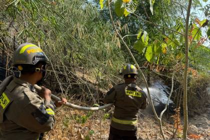 Polda Gorontalo kerahkan personel bantu atasi Karhutla di Bone Bolango