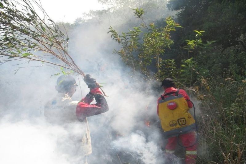 Dokter ingatkan bahaya kabut asap karhutla bagi kesehatan anak