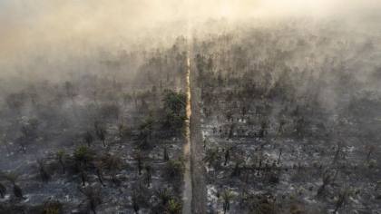 FOTO: 20 Hari Membara, Karhutla Muaro Jambi Hanguskan Ratusan Hektare