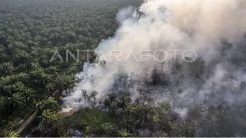 Penumpang KRL Bogor Anjlok Dievakuasi di Stasiun Jakarta Kota