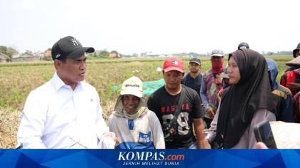 Sidak Sawah di Karawang, Mentan Amran Targetkan Panen Tiga Kali Meski El Nino