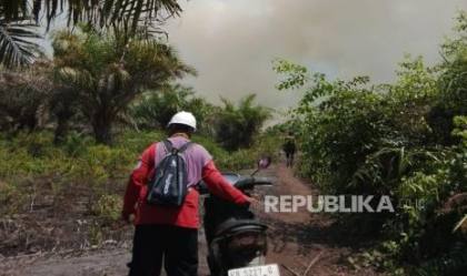 Dikepung Api Gambut di Ketapang, Mahasiswa UI Nyaris Tak Bisa Pulang
