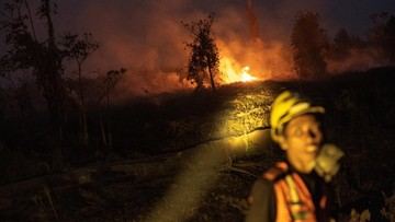 Kadinkes di Kalteng soal Bocah Meninggal: Tak Serta Merta karena Asap Lalu ISPA