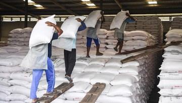 Laba Pupuk Indonesia Naik 253%, Harga Pupuk Turun, Apa Strateginya?