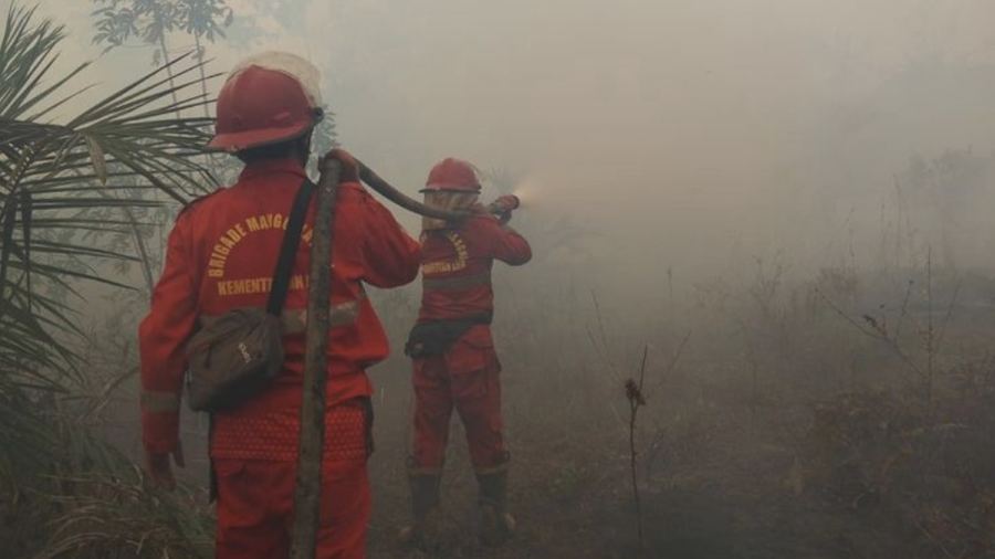 Titik Panas di Sumsel Disebut Turun, Ini Wilayah RI Terbanyak Hotspot