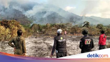 50 Hektare Lahan di Luwu Terbakar, Api Sudah Sebulan Belum Padam