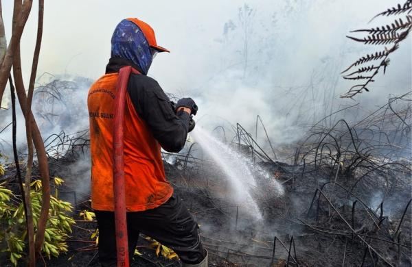 Karhutla Masih Dominasi Bencana, Riau Paling Luas Capai 18.882 Hektare