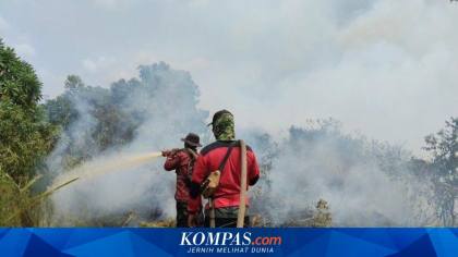Desak Karhutla Jadi Bencana Nasional, Anggota DPR: Paru-paru Dunia Tercemar