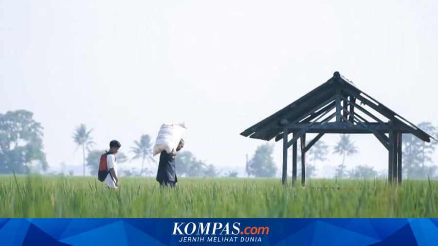 81 Tahun Merdeka, Mengapa Ekonomi Indonesia Masih Terpusat di Jawa?