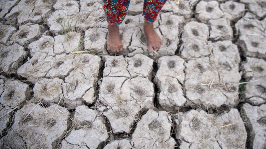 El Nino 2026 Berpotensi Jadi Terkuat, 2027 Bisa Pecah Rekor Panas