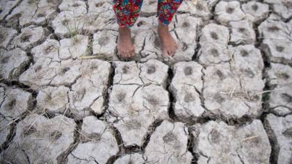 El Nino 2026 Berpotensi Jadi Terkuat, 2027 Bisa Pecah Rekor Panas