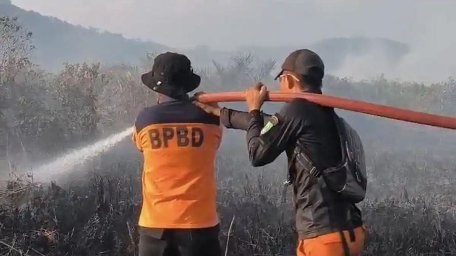110 Hektare Lahan di Lalolae Koltim Terbakar, Pemadaman Terkendala Akses dan Sumber Air