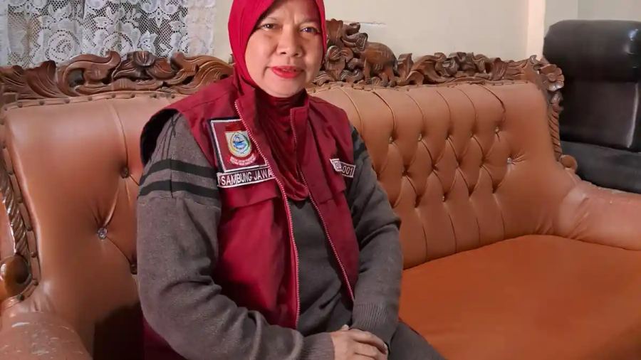 Rahayu Lallo dan 30 Tahun Pengabdian sebagai Kader Posyandu, Kini Layani 1.500 KK di Sambung Jawa