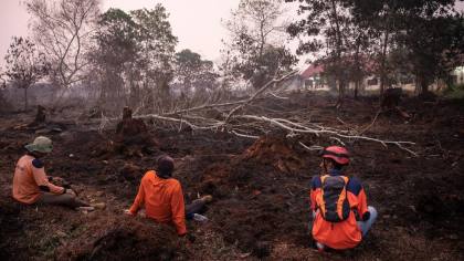 PBB Buka Suara soal Karhutla dan Cuaca Panas, Blak-blakan Bilang Begini