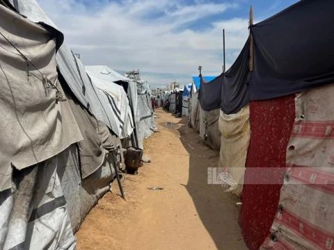 Laporan PBB: Israel Paksa Lebih dari 33.000 Warga Palestina Tinggalkan Tiga Kamp Pengungsi