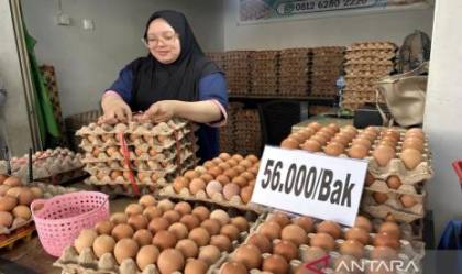 Tradisi Maulid Dongkrak Harga Telur di Gorontalo, Tembus Rp56 Ribu Per Bak