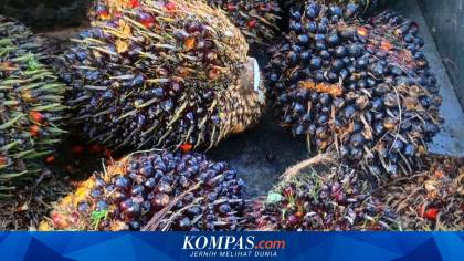 Petani Sawit 7 Negara Bentuk Koalisi Dunia, Harga hingga Perdagangan Jadi Agenda