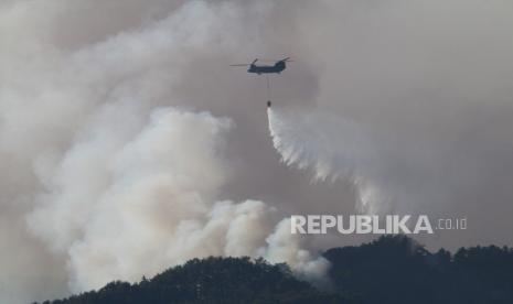Akui Gunakan Air Kolam Warga untuk Atasi Karhutla, BNPB Mengaku Sudah Komunikasi