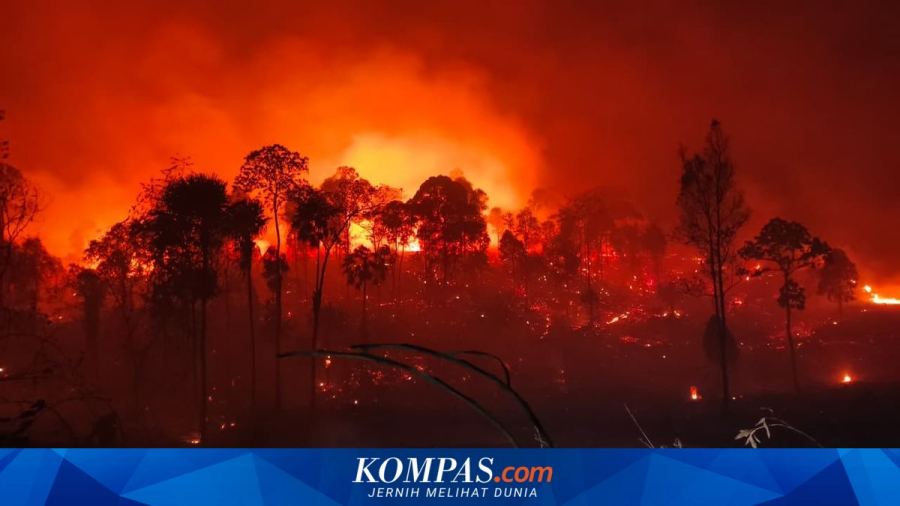 Kasus Karhutla, Kementerian Lingkungan Hidup Segel 21 Badan Usaha di 7 Provinsi