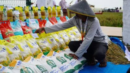 1 Juta Ton Beras SPHP Digelontorkan untuk Tekan Harga