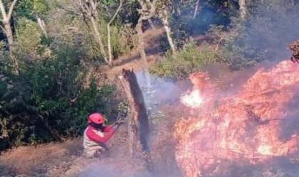 Titik Api Kembali Muncul di Gunung Butak Malang, Medan Sulit Hambat Pemadaman