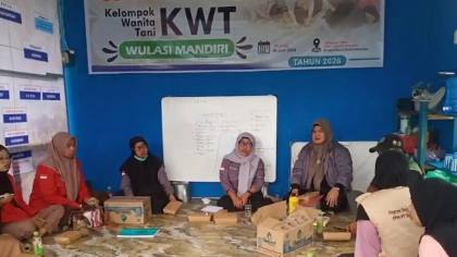Program TJSL PLN Dorong Produktivitas, Nilai Panen KWT Wulasi Mandiri Naik Dua Kali Lipat