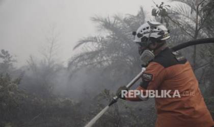 DMC Dompet Dhuafa dan Relawan Gabungan Bantu Padamkan Karhutla Kalteng