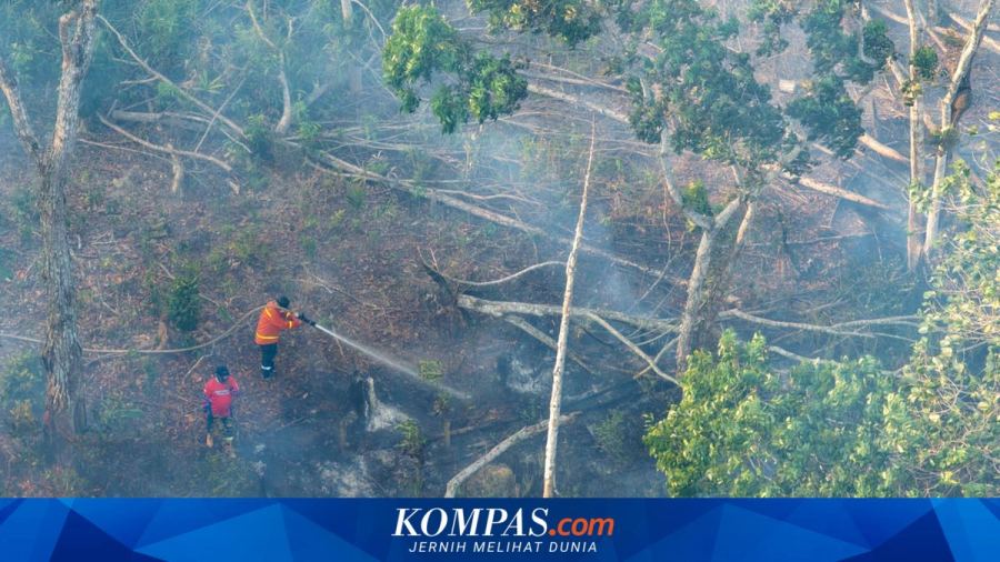 Bareskrim Ungkap 167 Tersangka Karhutla, Semuanya Masih Perorangan