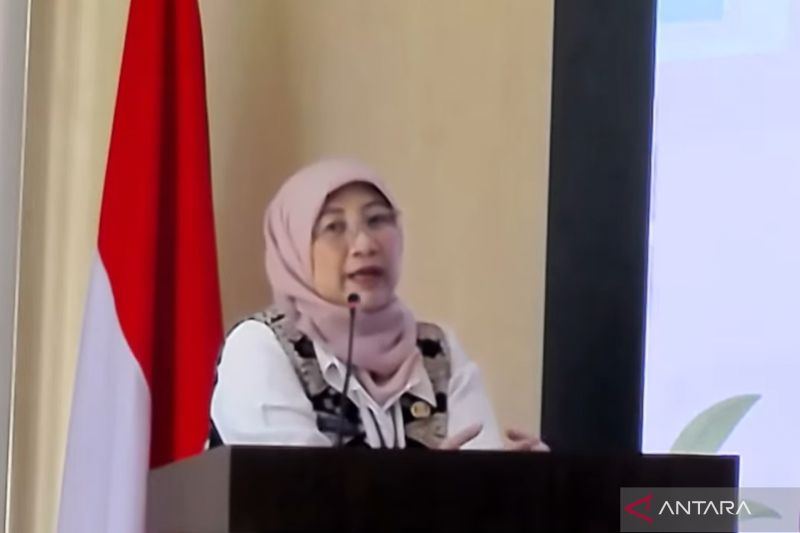 Pemprov DKI tingkatkan kompetensi kader Bina Keluarga Balita
