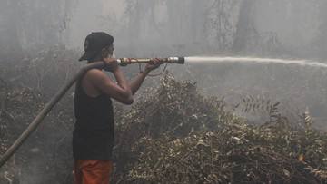 Kemenkes Ungkap Korban Karhutla di 6 Pronvisi: 4 Meninggal, 347 Luka-luka