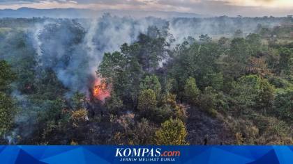 Karhutla Marak, Anggota DPR: Perusahaan Terbukti Bakar Lahan Harus Dicabut Izinnya